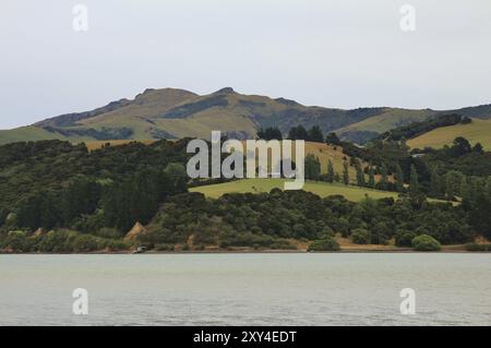 Vista da Barrys Bay. Paesaggio sulla Penisola di Banks, nuova Zelanda, Oceania Foto Stock