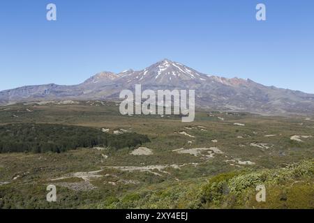 Vista del Monte Ruapehu in nuova Zelanda, vista dal circuito settentrionale di Tongariro Foto Stock