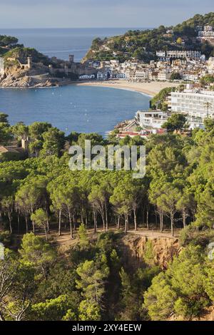 Boschi e baia di mare della Costa Brava nella località turistica di Tossa de Mar in Catalogna, Spagna, Europa Foto Stock