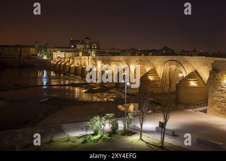 Spagna, Cordova, Ponte Romano (Puente Romano) sul fiume Guadalquivir e Moschea Cattedrale di notte, Europa Foto Stock