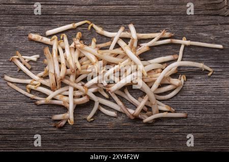 Primo piano di asparagi di luppolo Foto Stock