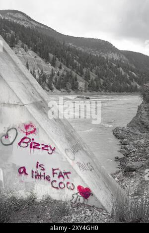 Ponte sul fiume Fraser a Williams Lake della Columbia britannica in Canada il 13 giugno 2018 Mobbing in corrispondenza di un ponte Foto Stock