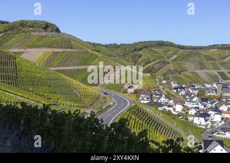 Villaggio dei vini Rech sul percorso escursionistico dei vini rossi nella valle di Ahr Foto Stock