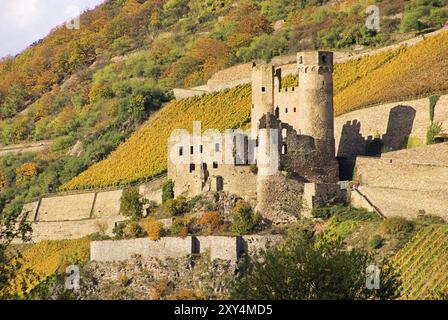 14 di Ehrenfels Foto Stock