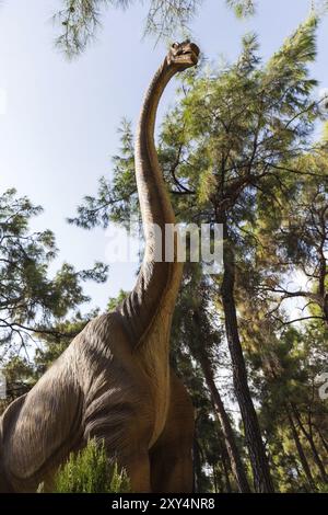 Diplodocus, foresta di dinosauri erbivori dell'era preistorica Foto Stock