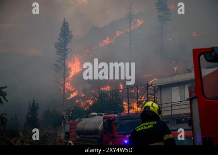 Zagabria, Croazia. 28 aprile 2024. Wildfire vicino al villaggio di Zrnovnica, Croazia, il 27.08.2024. Foto: Zvonimir Barisin/PIXSELL credito: Pixsell/Alamy Live News Foto Stock