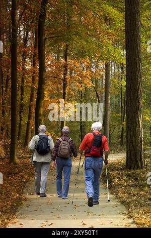 Tre escursionisti con zaini camminano attraverso la foresta, Paesi Bassi Foto Stock