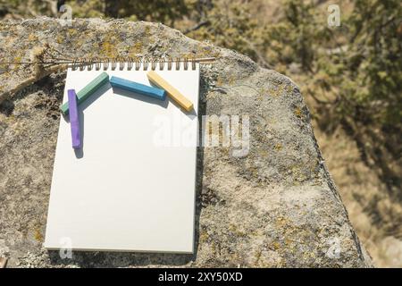 Grafica in primo piano per il progettista. Un blocco note vuoto per disegnare pastello su cui poggia un pastello artistico color gesso di viola verde blu e a te Foto Stock