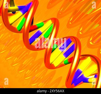 Illustrazione 3D della molecola di DNA a doppia elica Foto Stock