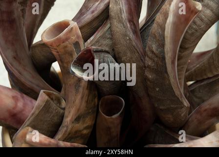 Cesto pieno di lunghi shofar ricci scolpiti dalle corna di un'antilope kudu e utilizzati nel rispetto della festa del capodanno ebraico di Rosh Hash Foto Stock