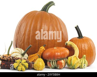 Zucche e zucche ancora vita isolata su sfondo bianco Foto Stock