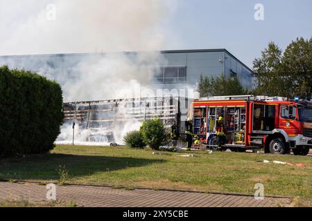 LKW steht a Flammen Foto Stock