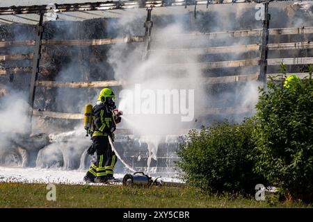 LKW steht a Flammen Foto Stock