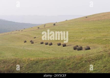 Balla rotonda di fieno su un campo verde in pendenza in condizioni meteorologiche nuvolose sullo sfondo di altre balle di fieno attorcigliate nei cilindri Foto Stock