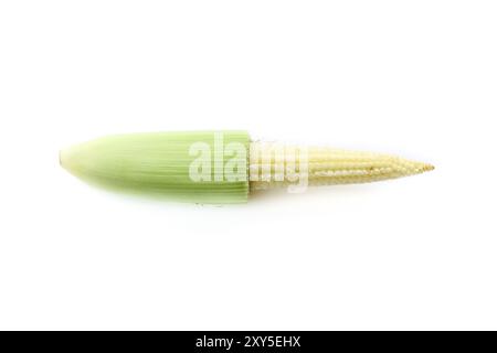 Primo piano di Baby corn fresco su sfondo bianco Foto Stock