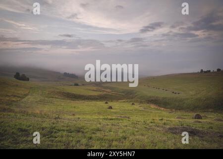 Paesaggio estivo dei campi obliqui del Caucaso con balle cilindriche di fieno al tramonto e splendidi alberi verdi. Un classico paesaggio rurale Foto Stock