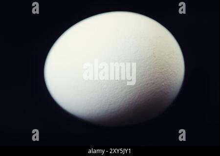 Un uovo di gallina bianco su sfondo nero Foto Stock