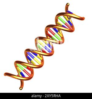 Illustrazione 3D della molecola di DNA a doppia elica isolata su sfondo bianco Foto Stock