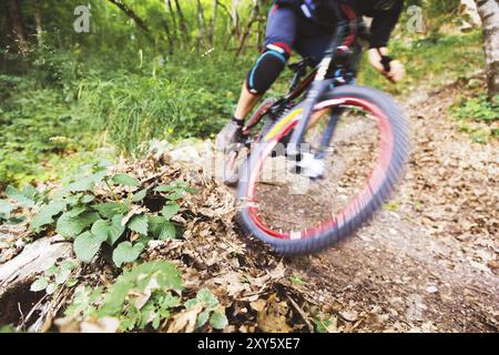 Un giovane ciclista in bicicletta per la discesa scende tra le rocce della foresta. Passaggio ad alta velocità della controrotazione con deriva sul terreno e flyi Foto Stock