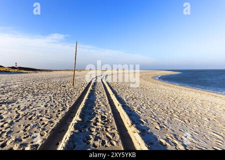 Tracce di pneumatici nella sabbia, Sylt Island Foto Stock