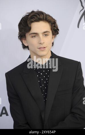 Timothee Chalamet al 25° Annual Screen Actors Guild Awards tenutosi presso lo Shrine Auditorium di Los Angeles, USA il 27 gennaio 2019 Foto Stock