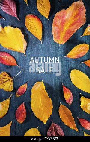 Collezione autunno vendita. Sconto verticale banner o flyer design con vibrante Foglie di autunno e di un posto per un logo su un blu scuro dello sfondo in legno Foto Stock
