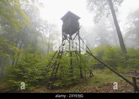 Sede alta nella foresta, Spessart, Baviera, Germania, cieco di caccia nella Foresta di faggio, Baviera, Germania, Europa Foto Stock