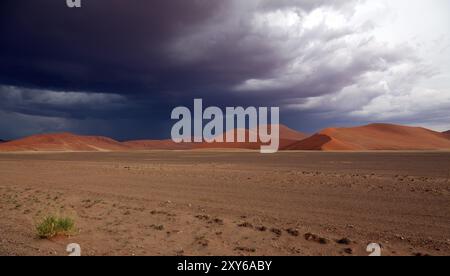 Tempesta sulle dune di sabbia del Namib-Naukluft National Park in Namibia Foto Stock