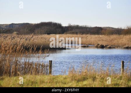 Den Helder, Paesi Bassi. Febbraio 2023 il Grafelijkheidsduinen a Den Helder, Paesi Bassi Foto Stock