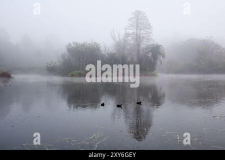 Isola nella Mist Foto Stock