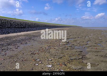 Wattenmeer in Ostfriesland, Mudflat in Frisia Orientale, Mare del Nord Foto Stock