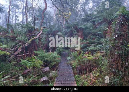 Caos cool Foto Stock