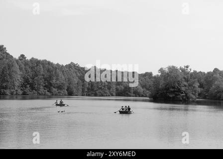 I visitatori possono remare sul tranquillo lago dell'Andrew Jackson State Park a Lancaster, South Carolina, Stati Uniti. Foto Stock