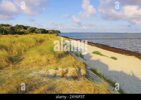 Poel Strand am Schwarzen Busch, spiaggia di Poel nel Bush nero dell'isola di Poel in Germania Foto Stock