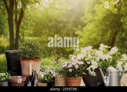 Fiori diversi in vaso, erbe, attrezzature per il giardinaggio su sfondo verde alberi da giardino. Concetto di hobby con piante, vasi da fiori sulla terrazza in legno Foto Stock