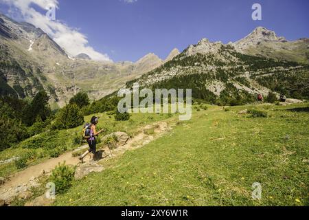 Camino de los Llanos de la Larri, Pirineo Aragones, Huesca, Spagna, Europa Foto Stock