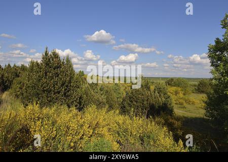 Punto panoramico sul Buckwitzberg, punto panoramico sul Buckwitzberg Foto Stock