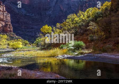 Il Virgin River scorre attraverso lo Zion National Park nello Utah Foto Stock