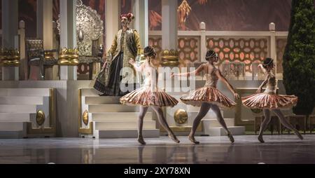 Marius Petipa ha portato la coreografia "LA BAYADERE" sul palco di San Pietroburgo nel 1877. Fortunatamente, le notazioni dell'originale sono state prese Foto Stock