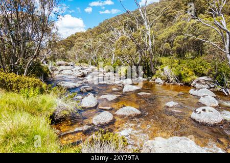 Percorsi intorno a Thredbo Riover e Thredbo Golf Course a Thredo nelle Snowy Mountains, New South Wales, Australia Foto Stock