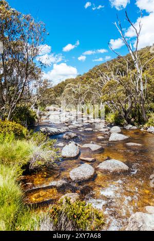 Percorsi intorno a Thredbo Riover e Thredbo Golf Course a Thredo nelle Snowy Mountains, New South Wales, Australia Foto Stock