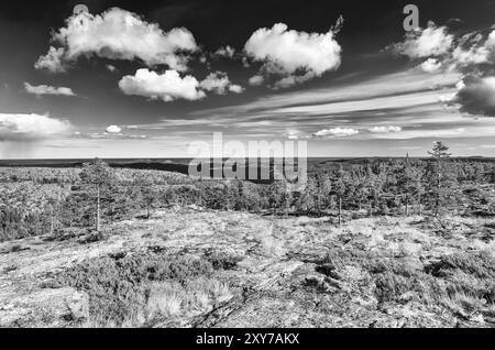 Paesaggio presso il Golfo di Botnia nel Parco Nazionale Skuleskogen, sito Patrimonio dell'Umanità di Hoega Kusten, Vaesternorrland, Svezia, luglio 2012, Europa Foto Stock