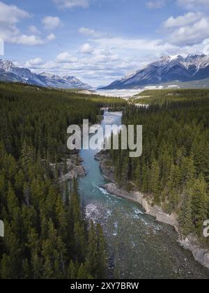 Un tranquillo fiume si snoda attraverso una fitta pineta, fiancheggiata da alte montagne sotto un cielo parzialmente nuvoloso, Canadian Rockies, Alberta, Canada, Nord A. Foto Stock