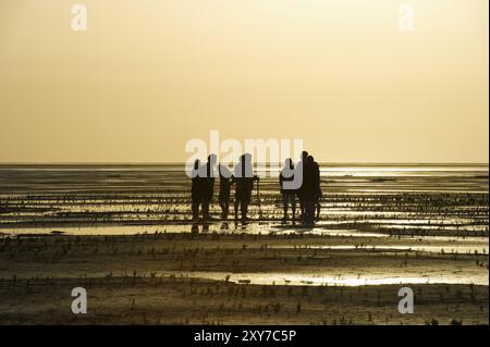 Escursionista nelle distese fangose, tramonto, Wyk, Foehr, Frisia settentrionale, Schleswig-Holstein, Germania, Europa Foto Stock