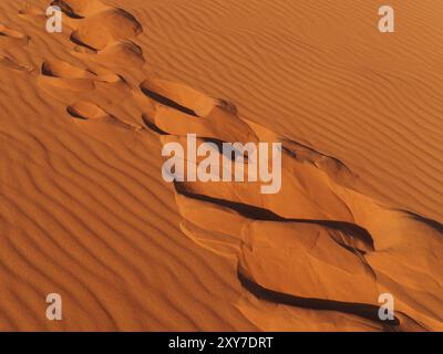 Sentieri di cammello nella sabbia della duna Foto Stock