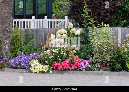 Un colorato letto di fiori sul vialetto di una casa residenziale a Shepperton, Surrey, Inghilterra, Regno Unito Foto Stock