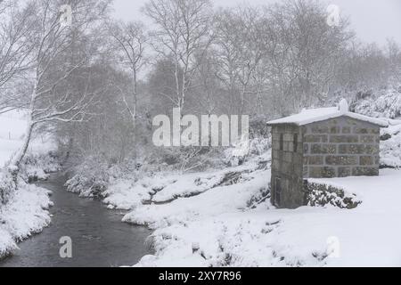 Pini e una casa di rifugio ricoperta di neve su un bianco paesaggio invernale con un attraversamento del fiume a Mondim de Basto, Portogallo, Europa Foto Stock