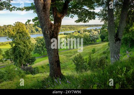 Lago Viljandi in Estonia, visto dall'alto del parco. Valle lussureggiante con lago in una splendida giornata estiva di sole. Foto Stock