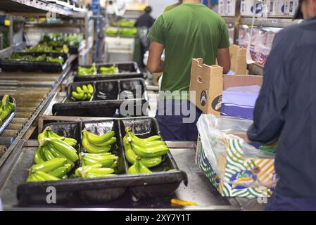 Tenerife, Spagna, 3 gennaio 2019: Etichettatrice automatizzata durante il funzionamento nell'industria del confezionamento alimentare a Tenerife, Isole Canarie, Spagna, Europa Foto Stock