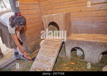 I bambini danno radici ai conigli allo zoo . Bambini in uno zoo a contatto, nutriti da conigli. La famiglia è nella fattoria. Foto Stock